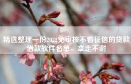 精选整理一份2022免审核不看征信的贷款借款软件名单，拿走不谢