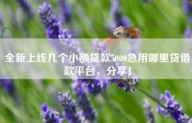 全新上线几个小额贷款5000急用哪里贷借款平台，分享！