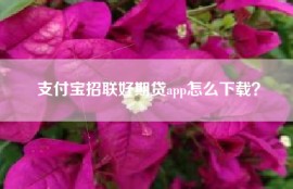 支付宝招联好期贷app怎么下载？