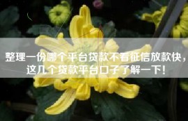 整理一份哪个平台贷款不看征信放款快，这几个贷款平台口子了解一下！