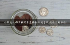 小额贷款哪里最可靠直接到账利息低,这几个都不错!