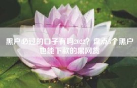 黑户必过的口子有吗2022？盘点5个黑户也能下款的黑网贷