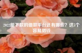 2022能下款的借款平台还有哪些？这5个容易借钱