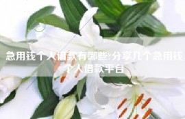 急用钱个人借款有哪些?分享几个急用钱个人借款平台