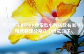 百分百不拒的小额贷款小额贷款有哪些？精选整理分享几个借款口子