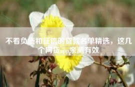 不看负债和征信的贷款名单精选，这几个网贷app亲测有效