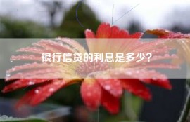 银行信贷的利息是多少？