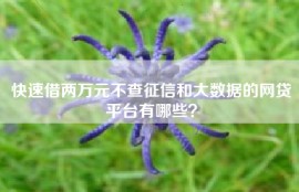 快速借两万元不查征信和大数据的网贷平台有哪些？