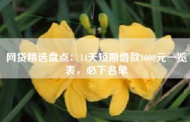 网贷精选盘点：14天短期借款1000元一览表，必下名单