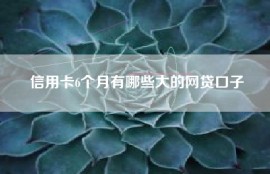 信用卡6个月有哪些大的网贷口子