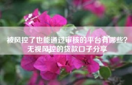 被风控了也能通过审核的平台有哪些？无视风控的贷款口子分享