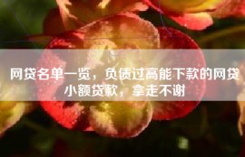 网贷名单一览，负债过高能下款的网贷小额贷款，拿走不谢