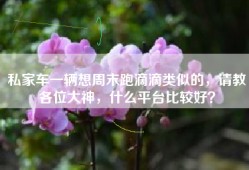 私家车一辆想周末跑滴滴类似的，请教各位大神，什么平台比较好？