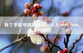 有个手机号就能借钱，人人5000~20000，不打回访