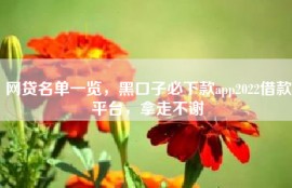 网贷名单一览，黑口子必下款app2022借款平台，拿走不谢