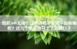 借款3000无视一切申请必下款的平台有哪些？这几个免审核马上下款的口子
