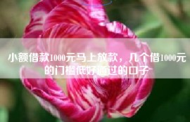 小额借款1000元马上放款，几个借1000元的门槛低好通过的口子