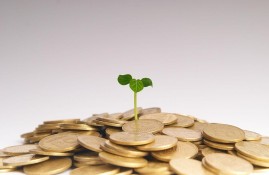 2022征信花了能下款的口子有哪些?