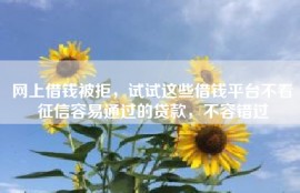 网上借钱被拒，试试这些借钱平台不看征信容易通过的贷款，不容错过