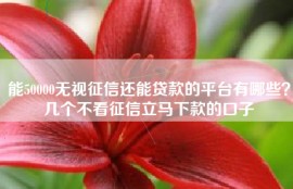 能50000无视征信还能贷款的平台有哪些？几个不看征信立马下款的口子