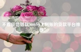不看征信借款5000马上到账的贷款平台推荐