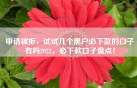 申请被拒，试试几个黑户必下款的口子有吗2022，必下款口子盘点！