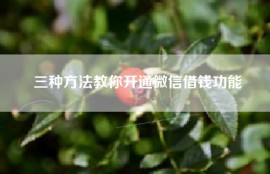 三种方法教你开通微信借钱功能