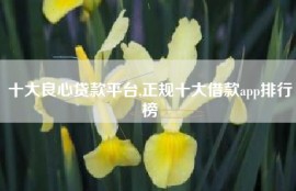 十大良心贷款平台,正规十大借款app排行榜