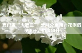 支付宝“大放血”, 芝麻分更新，花呗借呗重开，额度飙升