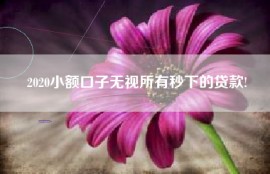 2020小额口子无视所有秒下的贷款!