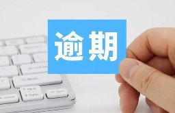 贷款逾期担保人会上征信吗？了解担保责任的重要性
