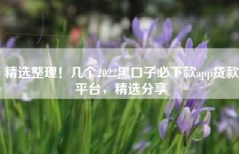 精选整理！几个2022黑口子必下款app贷款平台，精选分享