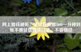 网上借钱被拒，试试这些借3000一分钟到账不查征信网贷口子，不容错过