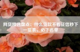 网贷精选盘点：什么贷款不看征信秒下一览表，必下名单