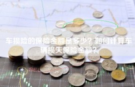 车损险的保险金额是多少？如何计算车辆损失保险金额？