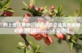 网上借钱被拒，试试这些负债高有逾期必通过的贷款app，不容错过