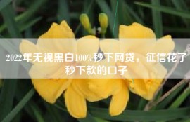 2022年无视黑白100%秒下网贷，征信花了秒下款的口子