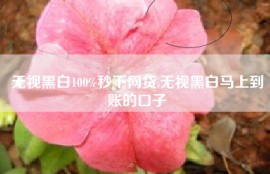 无视黑白100%秒下网贷,无视黑白马上到账的口子