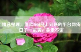 精选整理，借款2000马上到账的平台网贷口子一览表，拿走不谢