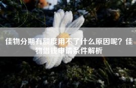 佳物分期有额度用不了什么原因呢？佳物借钱申请条件解析