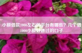 小额借款1000左右的平台有哪些？几个借1000小额好通过的口子