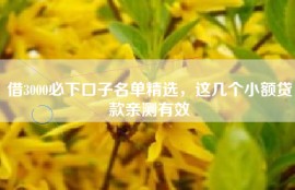 借3000必下口子名单精选，这几个小额贷款亲测有效