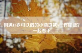 刚满18岁可以借的小额贷款APP有哪些？一起看下