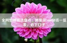 全网整理精选盘点：哪里贷5000块钱一览表，必下口子