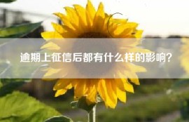 逾期上征信后都有什么样的影响？