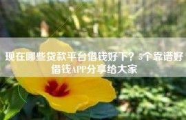 现在哪些贷款平台借钱好下？5个靠谱好借钱APP分享给大家