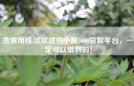 急需用钱,试试这些小额5000贷款平台，一定可以借到的！