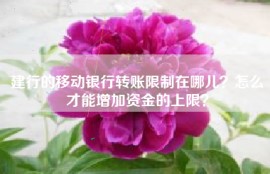 建行的移动银行转账限制在哪儿？怎么才能增加资金的上限？