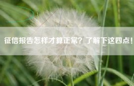 征信报告怎样才算正常？了解下这四点！