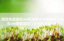 微信快速借钱5000的渠道平台有哪些（秒出5000额度贷款口子无需下载APP）